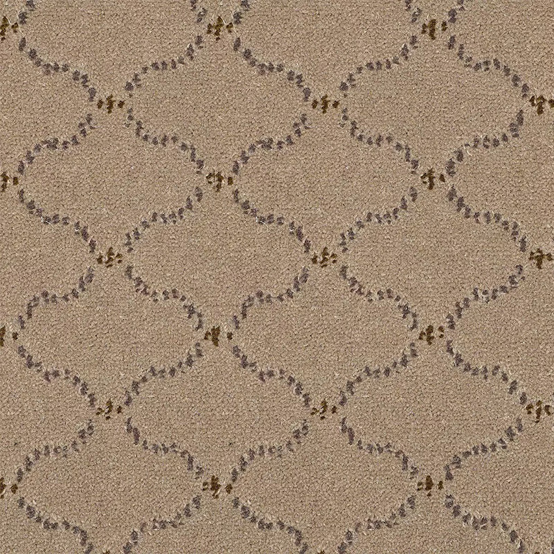 Adam Carpets Catherine Morning Latte Lace CL04 At Kings Carpets the